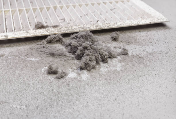 Best Air Duct Cleaning Near Me  in Waverly, NE