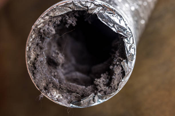 Best Best Air Duct Cleaning Company  in Waverly, NE