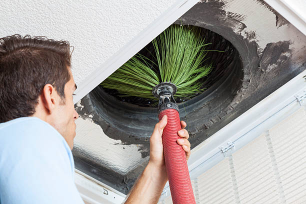 Best Commercial Air Duct Cleaning  in Waverly, NE