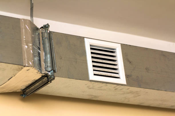 Best Local Air Duct Cleaning Services  in Waverly, NE